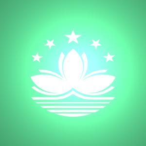 國(guó)內(nèi)到澳門物流,國(guó)內(nèi)至澳門貨運(yùn),國(guó)內(nèi)物流到澳門